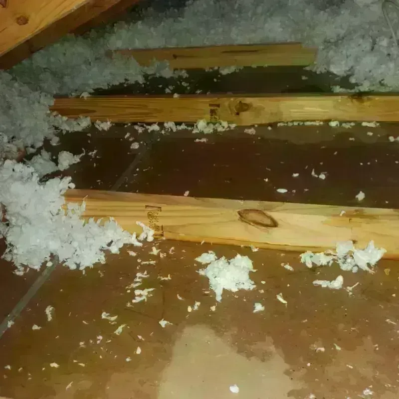 Attic Water Damage in Watertown, MA